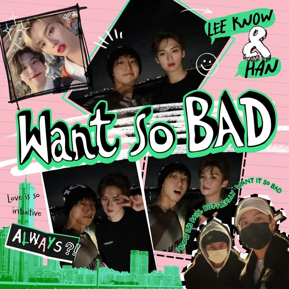 Stray Kids Want so BAD artwork